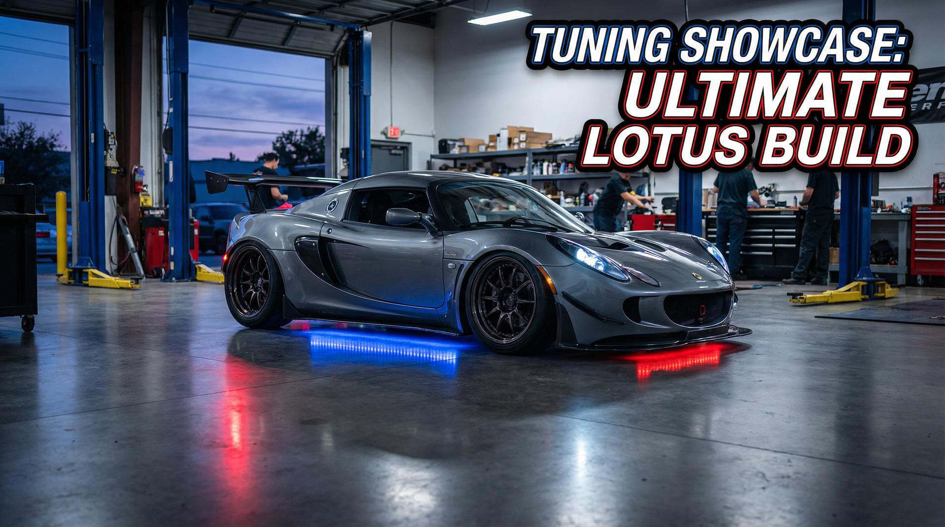 少萝视频-宽体套件